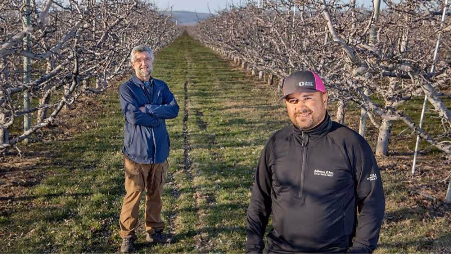 fruit worker in field